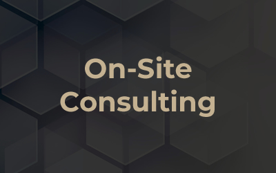 On-Site Consulting
